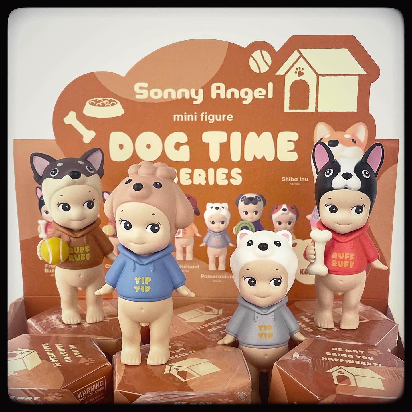 Dog Time Series Image