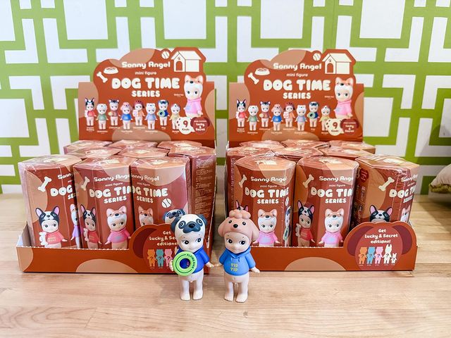 Dog Time Series Image