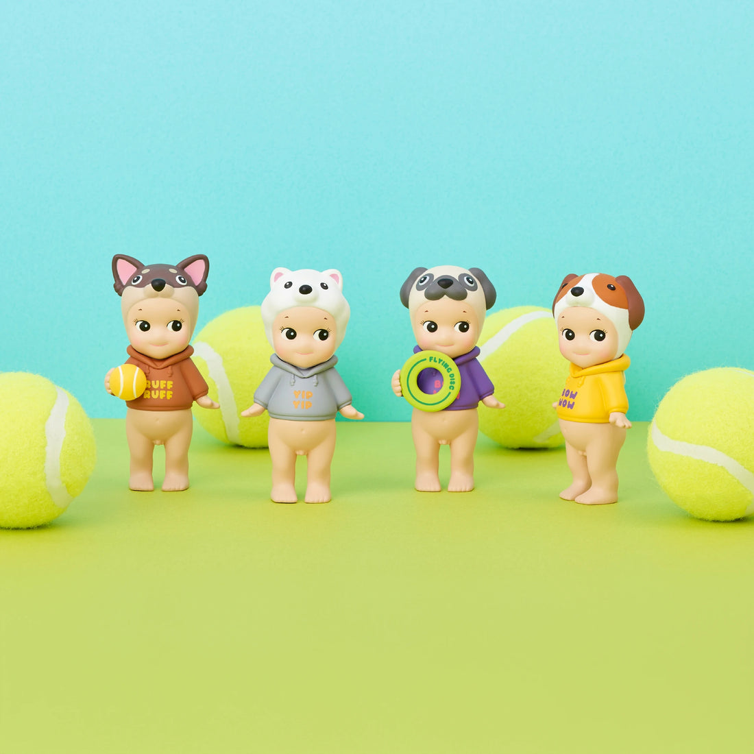 Dog Time Series Image