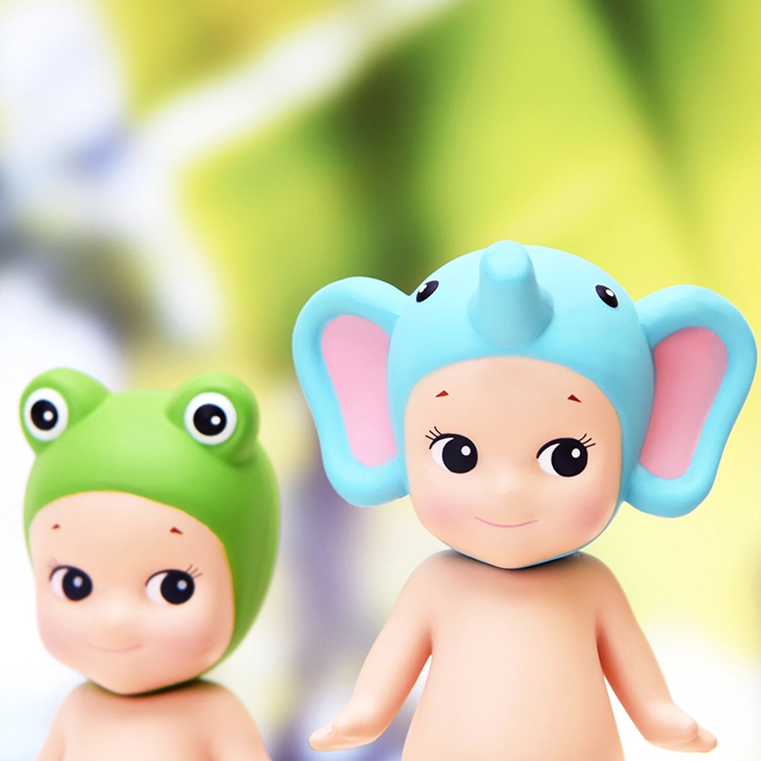 Animal Series 1 Image